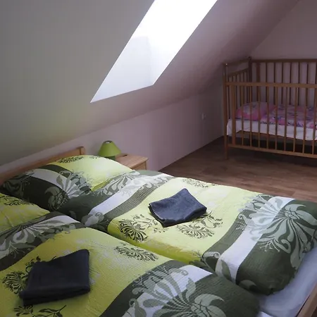 Ubytovani Orlik Apartment Orlik
