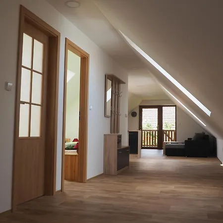 Apartment Ubytovani Orlik