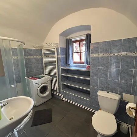 Apartment Ubytovani Orlik