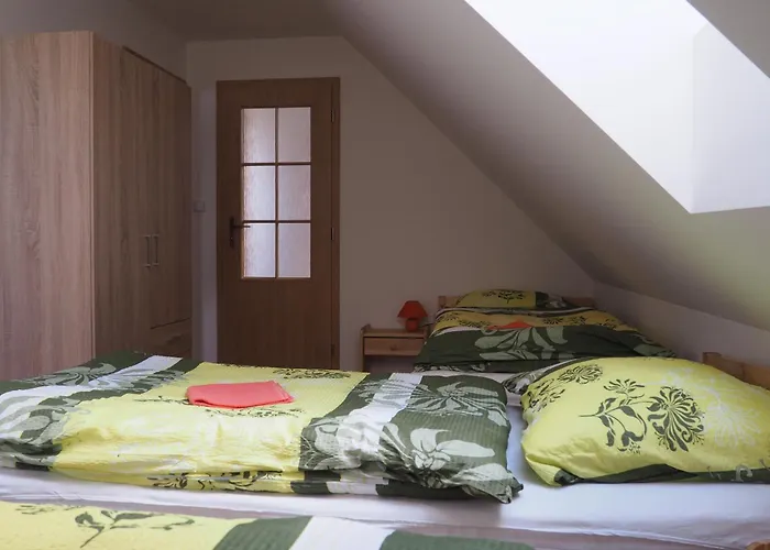 Apartment Ubytovani Orlik *